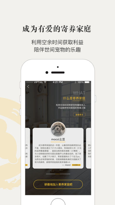 小狗在家宠物寄养