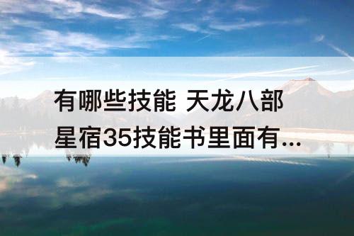 有哪些技能 天龙八部星宿35技能书里面有哪些技能
