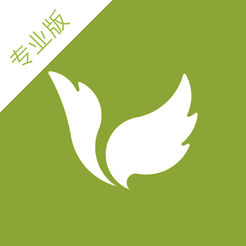 菩提果护理师