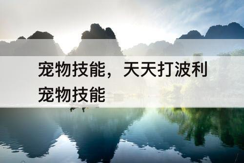 宠物技能，天天打波利宠物技能
