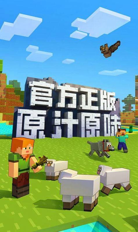 我的世界国际版最新版1.19截图