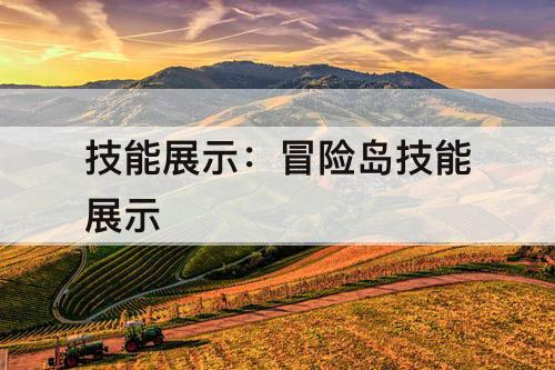 技能展示：冒险岛技能展示