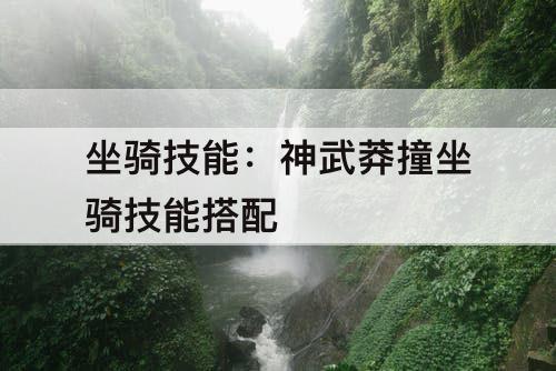 坐骑技能：神武莽撞坐骑技能搭配