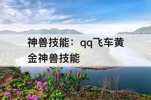 神兽技能：qq飞车黄金神兽技能