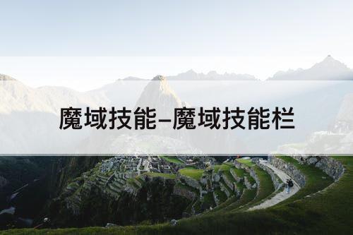 魔域技能-魔域技能栏