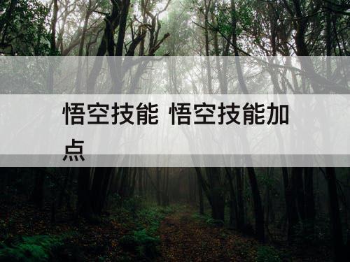 悟空技能 悟空技能加点