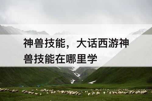 神兽技能，大话西游神兽技能在哪里学