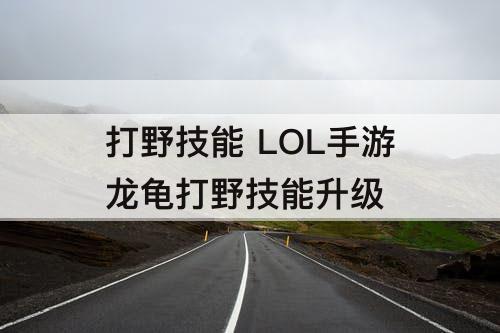 打野技能 LOL手游龙龟打野技能升级