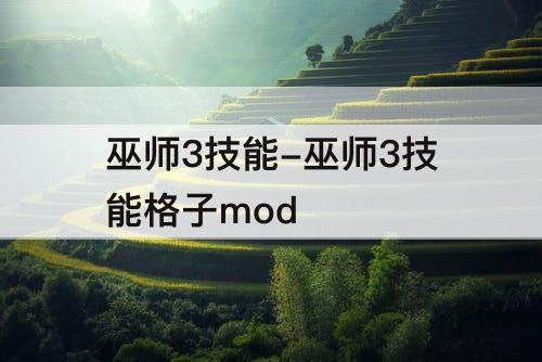 巫师3技能-巫师3技能格子mod