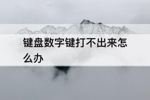 键盘数字键打不出来怎么办