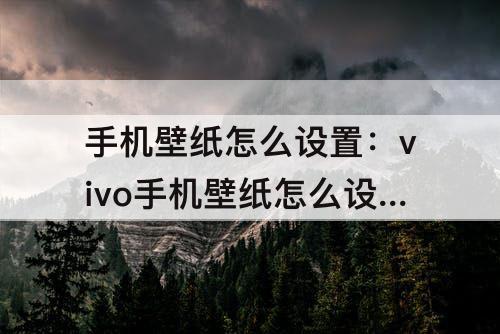 手机壁纸怎么设置：vivo手机壁纸怎么设置全屏不动