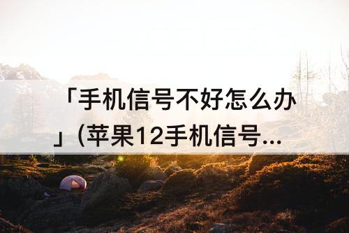 「手机信号不好怎么办」(苹果12手机信号不好怎么办?打开这个功能)