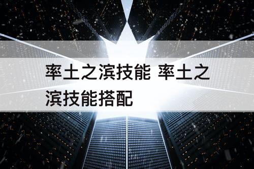 率土之滨技能 率土之滨技能搭配