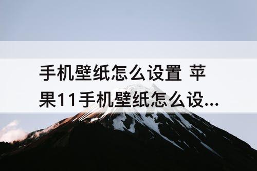 手机壁纸怎么设置 苹果11手机壁纸怎么设置视频