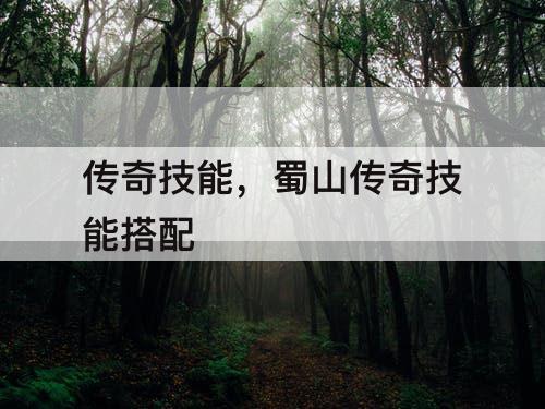 传奇技能，蜀山传奇技能搭配