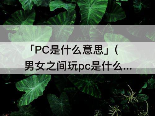 「PC是什么意思」(男女之间玩pc是什么意思)