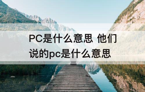 PC是什么意思 他们说的pc是什么意思