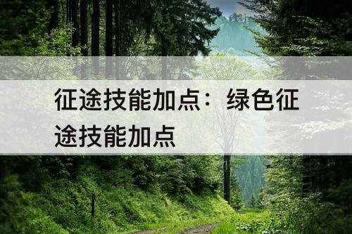 征途技能加点：绿色征途技能加点