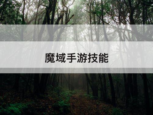 魔域手游技能