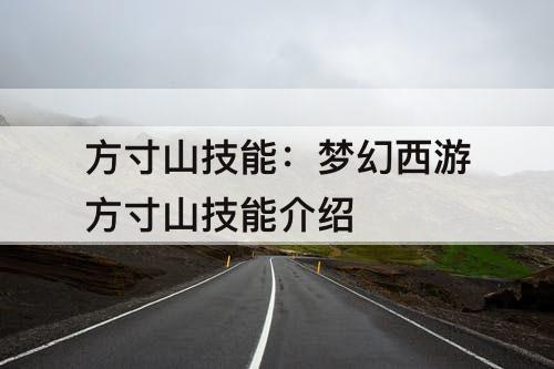 方寸山技能：梦幻西游方寸山技能介绍