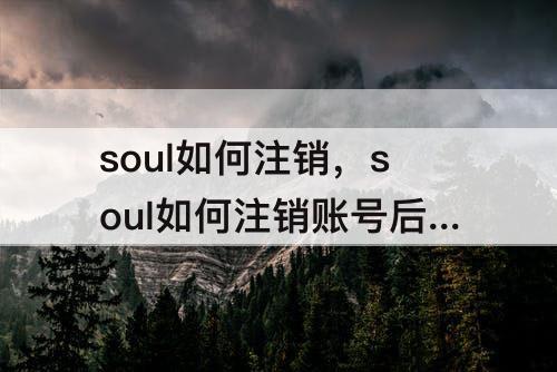 soul如何注销，soul如何注销账号后还可以继续用会员吗?