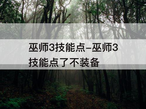 巫师3技能点-巫师3技能点了不装备
