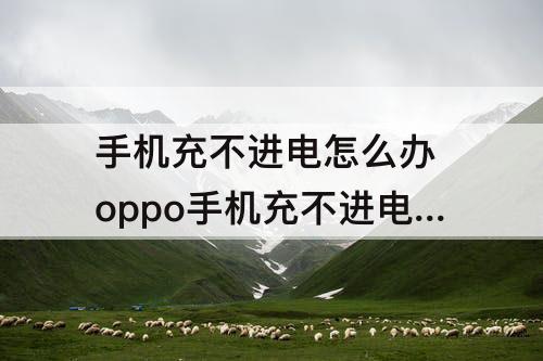 手机充不进电怎么办 oppo手机充不进电怎么办?别慌有妙招