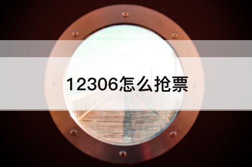 12306怎么抢票
