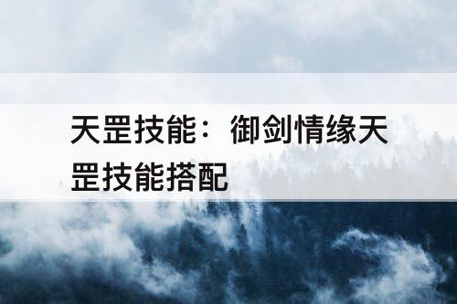 天罡技能：御剑情缘天罡技能搭配