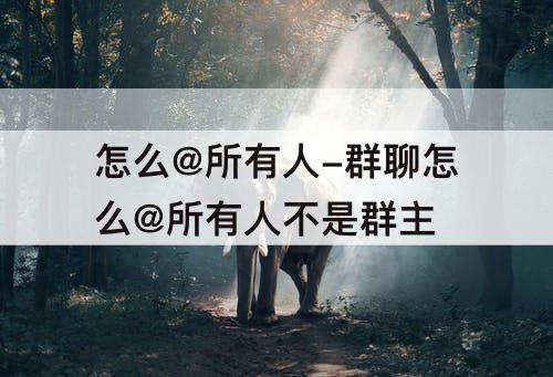 怎么@所有人-群聊怎么@所有人不是群主