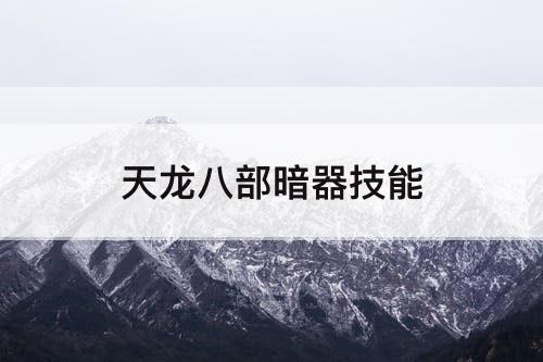 天龙八部暗器技能