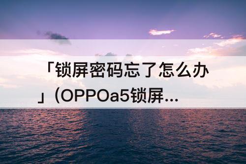 「锁屏密码忘了怎么办」(OPPOa5锁屏密码忘了怎么办)
