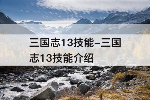 三国志13技能-三国志13技能介绍