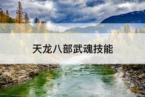 天龙八部武魂技能