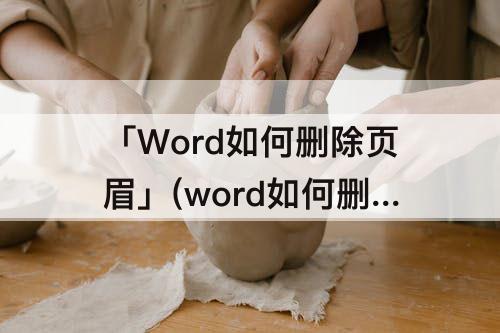 「Word如何删除页眉」(word如何删除页眉上的一道横线快捷键)