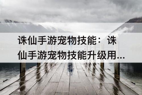 诛仙手游宠物技能：诛仙手游宠物技能升级用量表