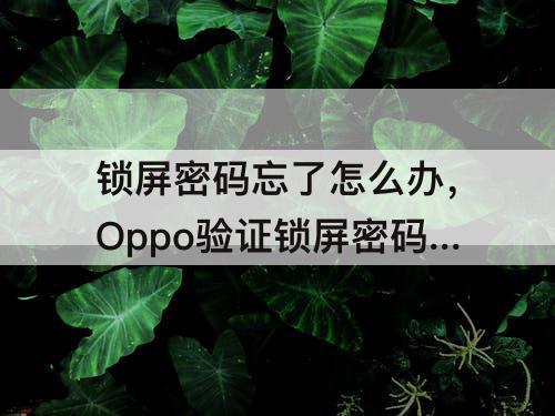 锁屏密码忘了怎么办，Oppo验证锁屏密码忘了怎么办