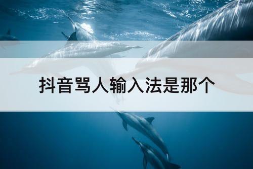 抖音骂人输入法是那个