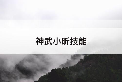 神武小昕技能
