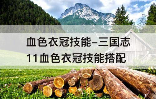 血色衣冠技能-三国志11血色衣冠技能搭配