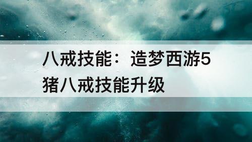 八戒技能：造梦西游5猪八戒技能升级