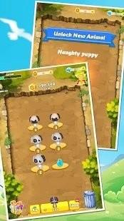 Animals