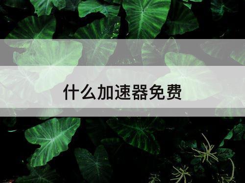 什么加速器免费