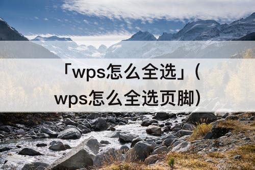 「wps怎么全选」(wps怎么全选页脚)