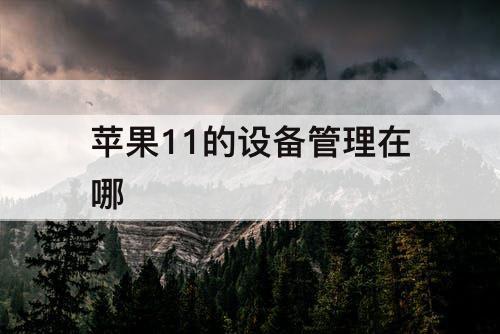苹果11的设备管理在哪