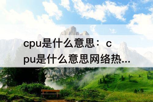 cpu是什么意思：cpu是什么意思网络热梗