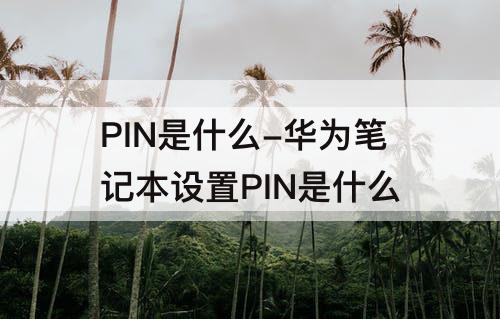 PIN是什么-华为笔记本设置PIN是什么