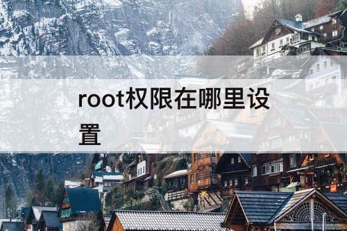 root权限在哪里设置