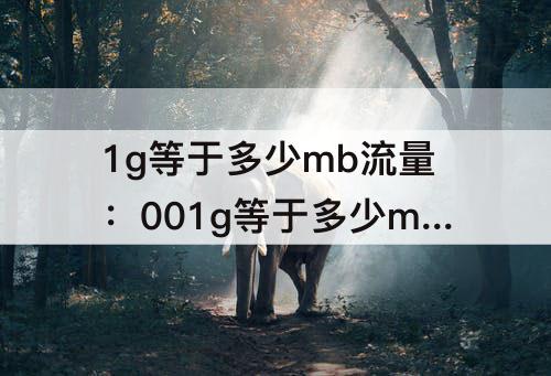 1g等于多少mb流量：001g等于多少mb流量