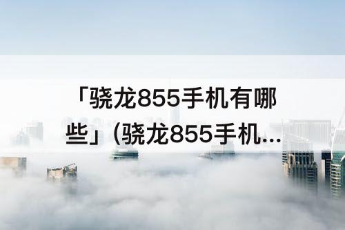「骁龙855手机有哪些」(骁龙855手机有哪些2021年)